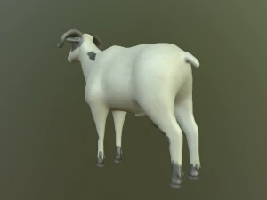 sheep 3D Model