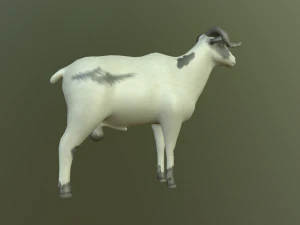 sheep 3D Model