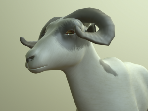 sheep 3D Model