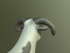 sheep 3D Model