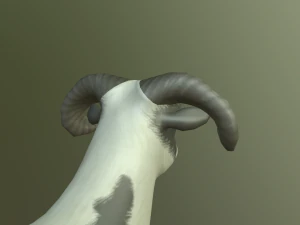 sheep 3D Model