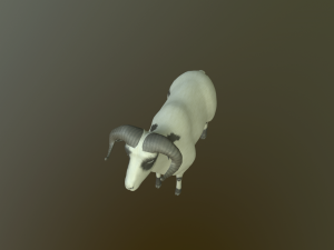 sheep 3D Model