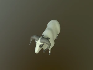sheep 3D Model