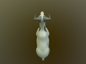 sheep 3D Model