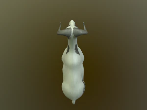 sheep 3D Model