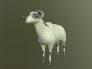 sheep 3D Model