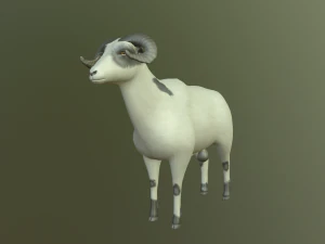 sheep 3D Model