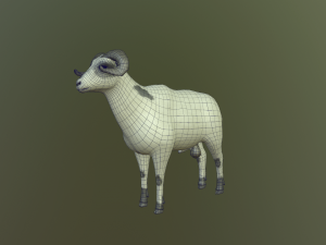 sheep 3D Model