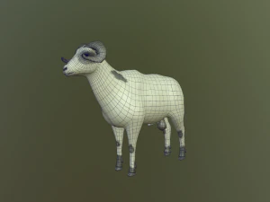 sheep 3D Model