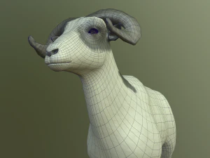 sheep 3D Model