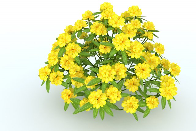 rhododendron Model 3D .c4d .max .obj .3ds .fbx .stl .blend 