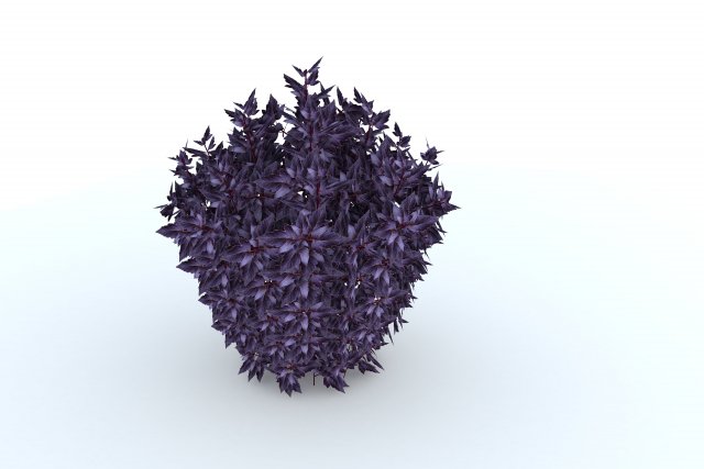 ninebark Modèle 3D .c4d .max .obj .3ds .fbx .stl .blend 