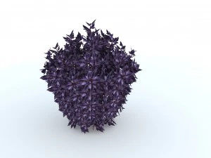 &eacute;corce de neuf Modèle 3D