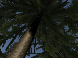 tree 3D Model