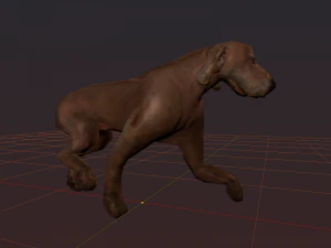 kurzhaar 3D Model