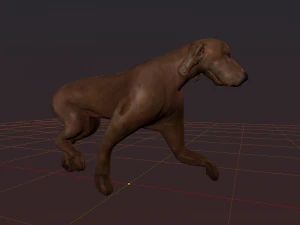 kurzhaar 3D Model