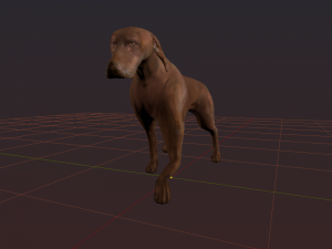 kurzhaar 3D Model