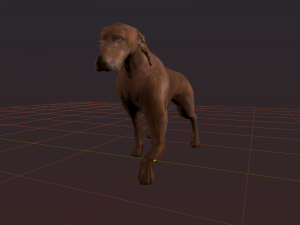 kurzhaar 3D Model