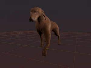 kurzhaar 3D Model