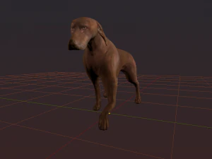 kurzhaar 3D Model