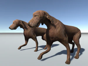 kurzhaar 3D Model