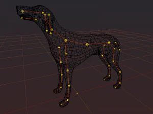 kurzhaar 3D Model