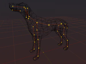 kurzhaar 3D Model