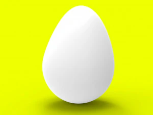 Egg 3D Model