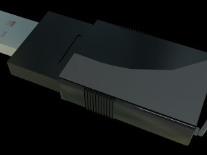 fleshka 3D Model
