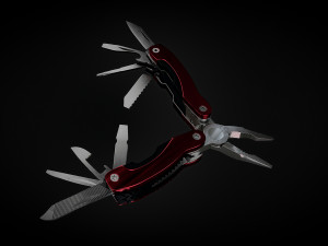 Pasatishi 3D Model