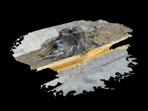 &aacute;rvore da morte Modelo 3D