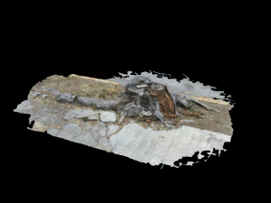 death tree 3D Model