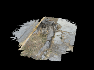 death tree Modèle 3D