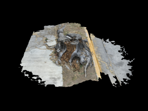 death tree Modèle 3D