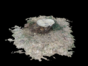 tree 3D मॉडल