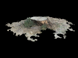 tree 3D Model