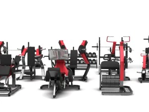 academia de m&aacute;quinas de martelo Modelo 3D