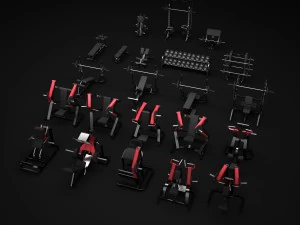 gimnasio con máquina de martillo Modelo 3D
