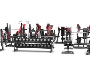 academia de m&aacute;quinas de martelo Modelo 3D