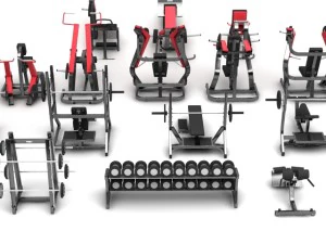 academia de m&aacute;quinas de martelo Modelo 3D