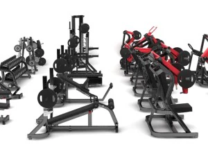 academia de m&aacute;quinas de martelo Modelo 3D