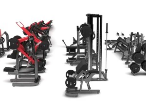 academia de m&aacute;quinas de martelo Modelo 3D