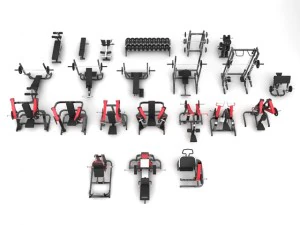 academia de m&aacute;quinas de martelo Modelo 3D