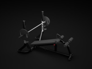 decline 3D 모델