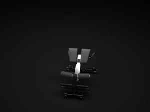 punggung bawah Model 3D