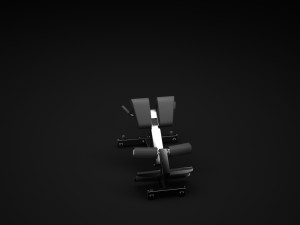 low back Modelo 3D