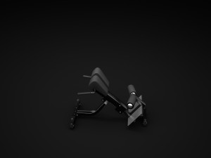 low back Modelo 3D