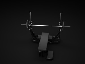 olympic flat 3D Model