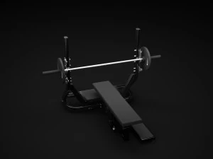 olympic flat 3D Model