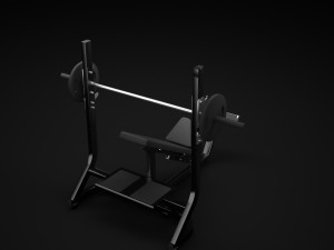 olympic incline 3D Model